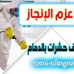 شركة مكافحة حشرات بالدمام