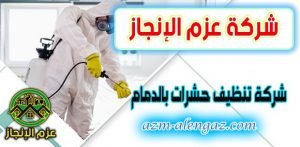 شركة مكافحة حشرات بالدمام