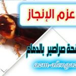 شركة مكافحة صراصير بالدمام