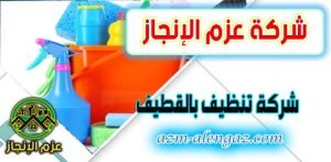 شركة تنظيف بالقطيف